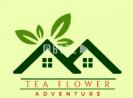 Tea Flower Adventure 