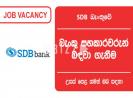 Banking Assistant – SDB Bank