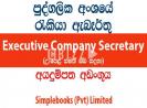 Executive Company Secretary – Simplebook...