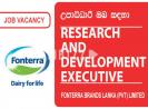 RESEARCH AND DEVELOPMENT EXECUTIVE